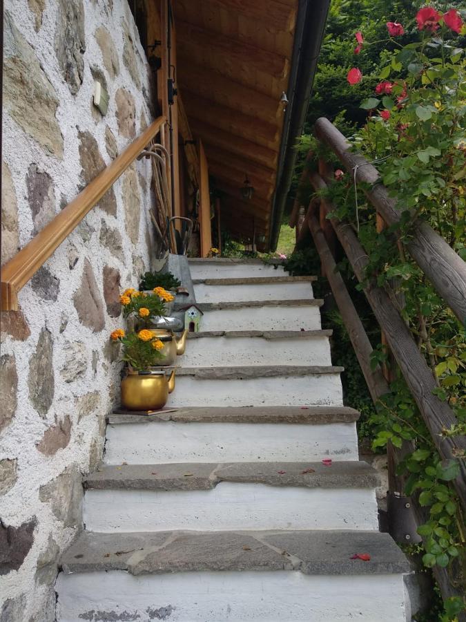 Il Ciliegio Bed & Breakfast Imer Exterior photo