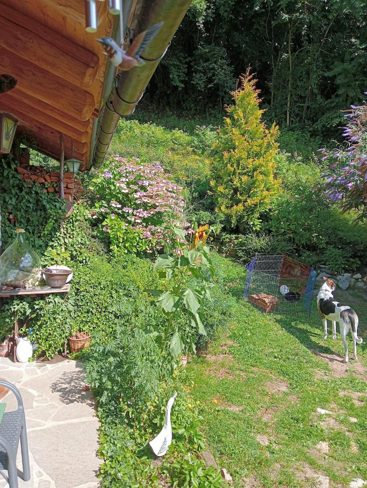 Il Ciliegio Bed & Breakfast Imer Exterior photo